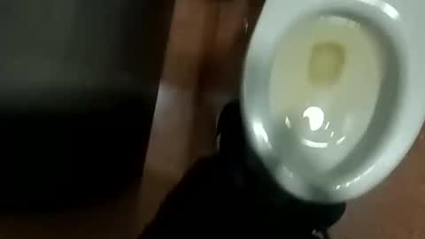 damian950 online show from 12, 4, 2026