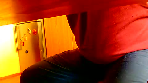 Snapshot of dammerl6 chatting on 8, 1, 2025 Dammerl online show from 8, 1, 2025