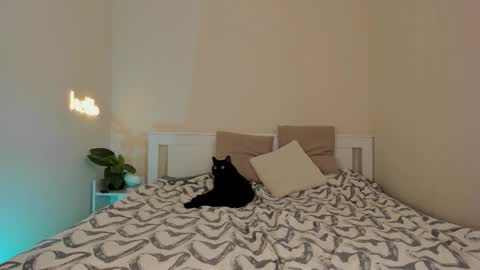 Snapshot of danabananaa chatting on 1, 12, 2025 Dana online show from 1, 12, 2025