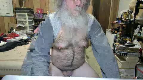 Dana online show from 8, 12, 2024