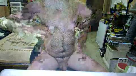 Dana online show from 29, 10, 2025