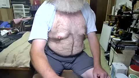 Dana online show from 26, 7, 2026