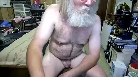 Dana online show from 31, 7, 2026
