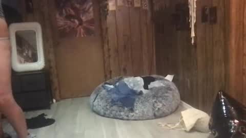 DanaMaris666 online show from 25, 9, 2025