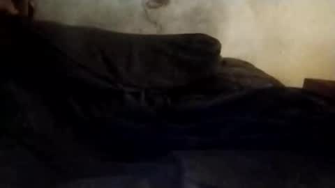 danicrss8 online show from 14, 4, 2026