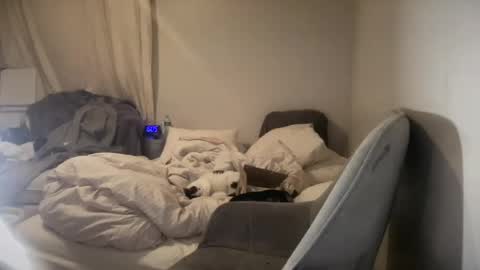 Snapshot of daniellealexa chatting on 27, 6, 2026 daniellealexa online show from 27, 6, 2026