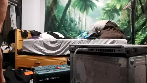 danimal5000 online show from 17, 9, 2025