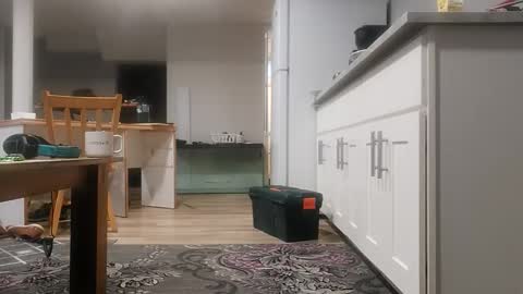 danimal5000 online show from 18, 11, 2025