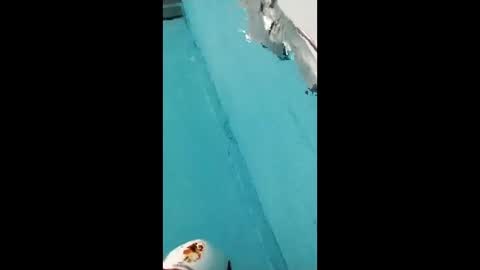 Snapshot of danipas_30 chatting on 12, 2, 2026 danipas_30 online show from 12, 2, 2026