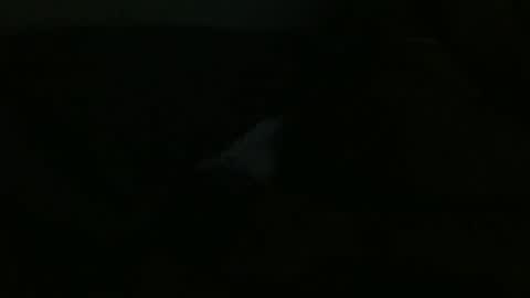 Snapshot of dannithefucksuperstar chatting on 24, 12, 2024 Dee online show from 24, 12, 2024