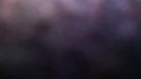 Snapshot of dannowisc chatting on 23, 2, 2026 dannowisc online show from 23, 2, 2026