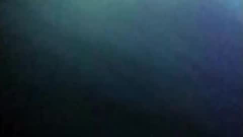 dannowisc online show from 4, 6, 2026