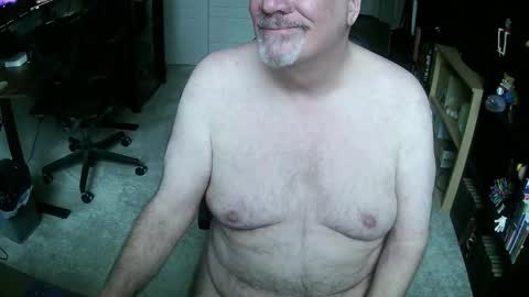 Danny bear online show from 6, 3, 2026