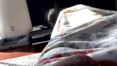 Snapshot of dannyboy621 chatting on 6, 11, 2025 dannyboy621 online show from 6, 11, 2025