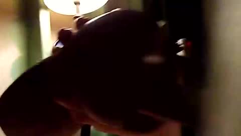 dano9696 online show from 1, 11, 2025