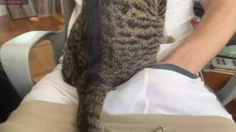 Snapshot of danteslife chatting on 24, 1, 2025 Dante online show from 24, 1, 2025