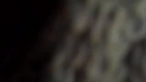 danys69 online show from 11, 10, 2025