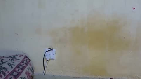 Snapshot of dark_princess1 chatting on 8, 10, 2025 dark_princess1 online show from 8, 10, 2025