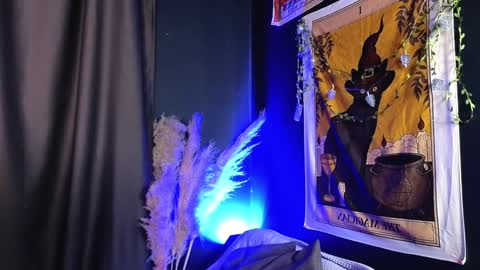 Vamp  online show from 15, 12, 2024