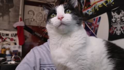 Snapshot of darkness_joones chatting on 5, 12, 2024 Darkness online show from 5, 12, 2024