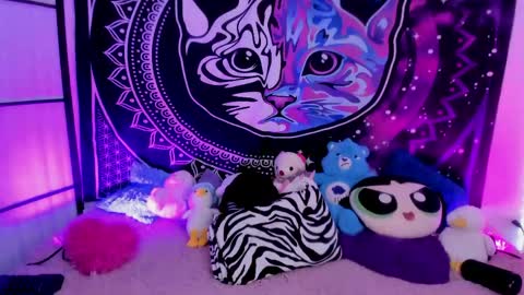 daryimiau online show from 25, 4, 2026