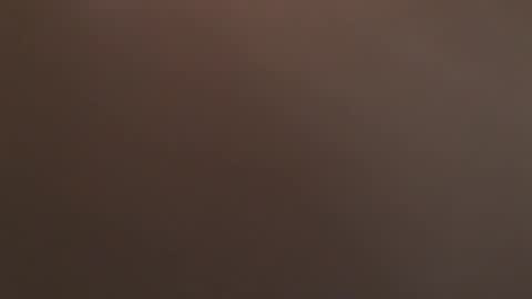 davdao3 online show from 11, 9, 2025