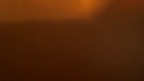 davdao3 online show from 23, 3, 2026