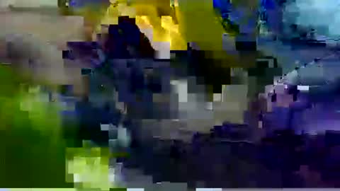 david23vergota online show from 29, 11, 2025