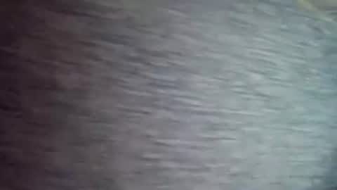 David1438 online show from 12, 4, 2026