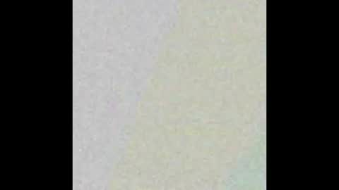 David online show from 2, 2, 2026