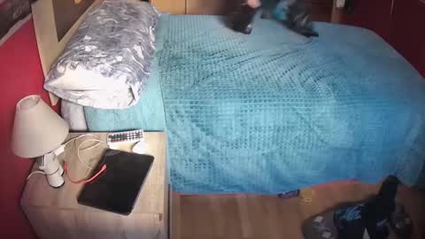 Hugo online show from 20, 2, 2025