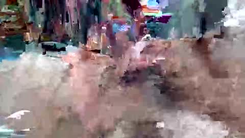 davidmarioslick online show from 23, 5, 2026