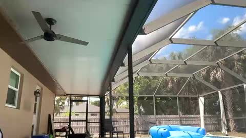 Dazey online show from 30, 4, 2026