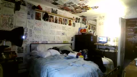 dbeamon92 online show from 8, 3, 2026