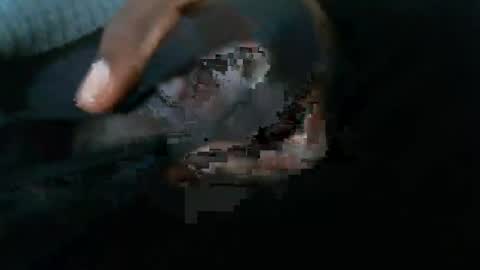 dbizzlenyc online show from 1, 2, 2025