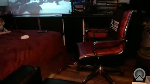 DCTeamFucker online show from 25, 3, 2026