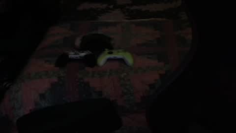 Snapshot of ddc444 chatting on 27, 9, 2025 DC online show from 27, 9, 2025