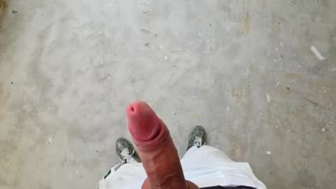 ddstyler2 online show from 4, 3, 2026