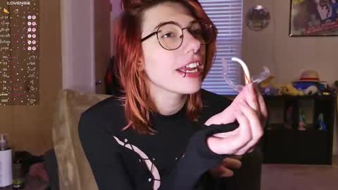 Rat online show from 16, 12, 2025