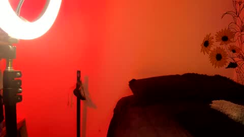 Snapshot of dear_venus chatting on 4, 12, 2024 venus adam online show from 4, 12, 2024