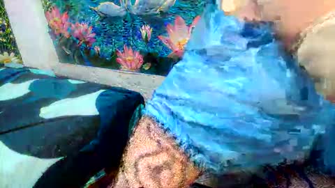 Snapshot of debrastephens chatting on 29, 5, 2026 debrastephens online show from 29, 5, 2026