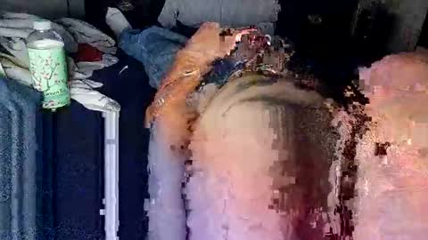 decoyx5o5 online show from 23, 12, 2024