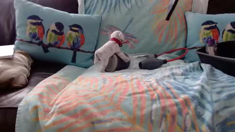 Snapshot of deeperjohnny chatting on 21, 10, 2025 deeperjohnny online show from 21, 10, 2025