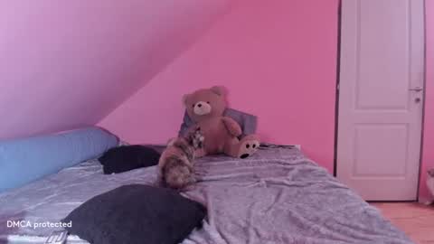 Snapshot of deessert chatting on 16, 2, 2025 Deessert online show from 16, 2, 2025