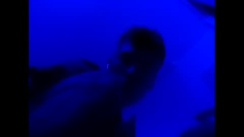 deezzee_5280 online show from 26, 2, 2026