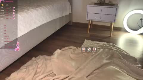 Dia online show from 12, 2, 2026