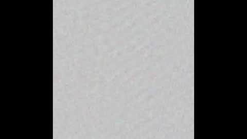 Ducky online show from 19, 10, 2025