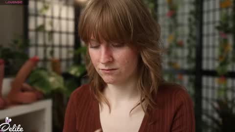 DeLite  Next stream on Wednesday or Thurdsay  online show from 5, 3, 2026