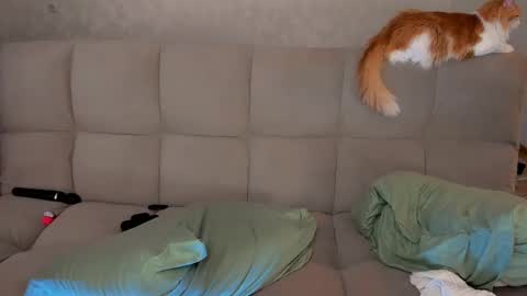 Victoria and Nara twitterinstagram dementra rawrr online show from 8, 3, 2025