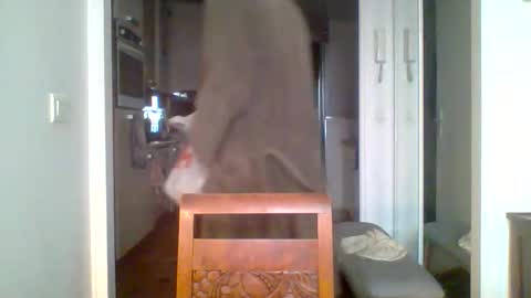 Snapshot of demundu chatting on 17, 11, 2025 demundu online show from 17, 11, 2025